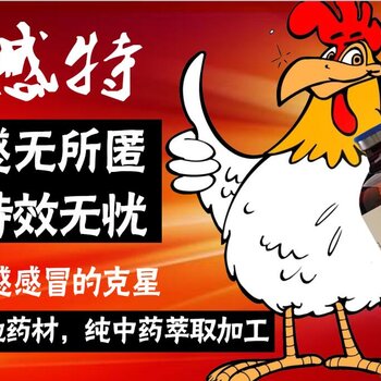 鸭流感药-鸭子得了流感怎么治-潍坊昌乐鸭场案